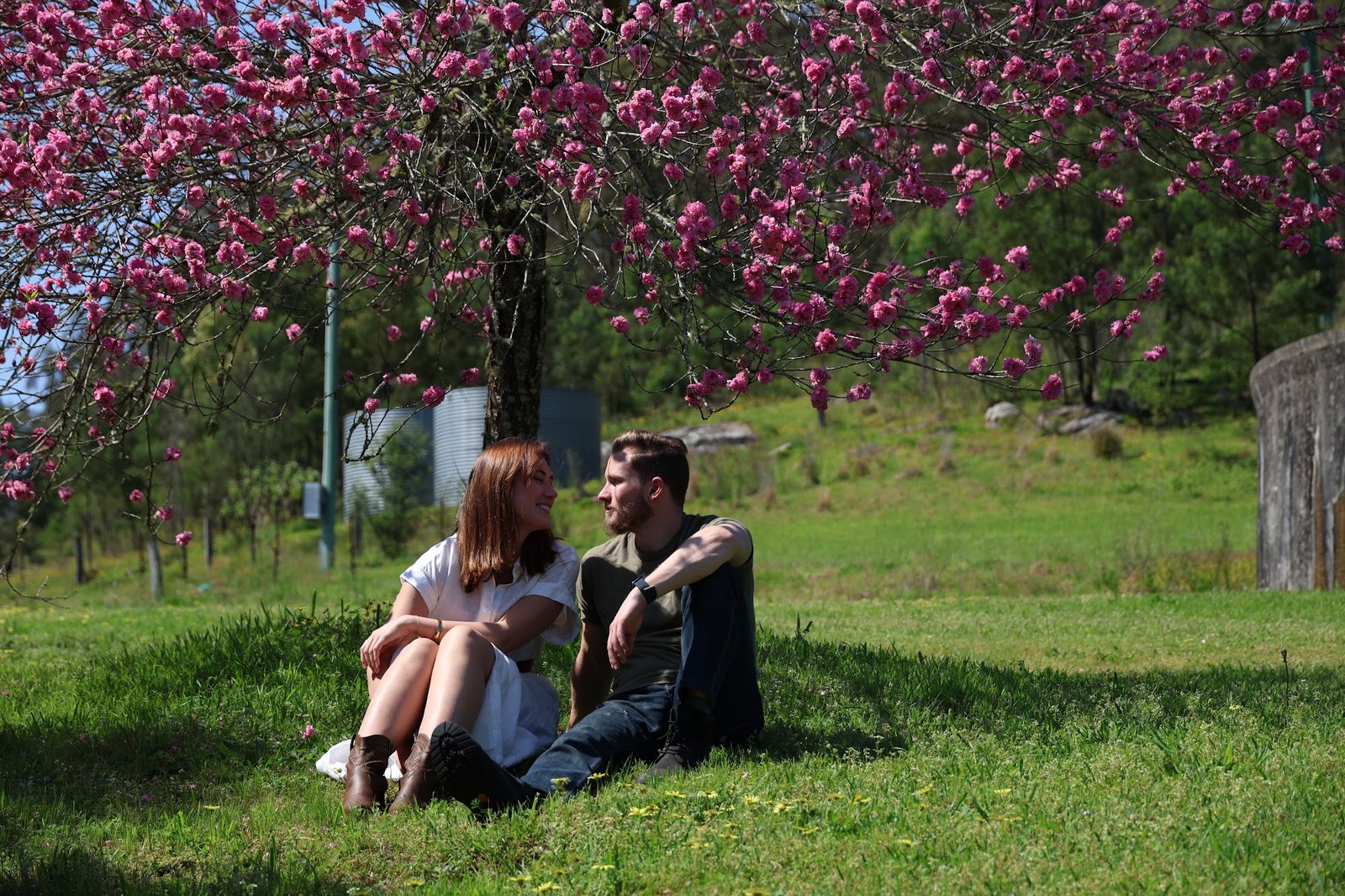 Daniel and Lauren beneath a blossom tree